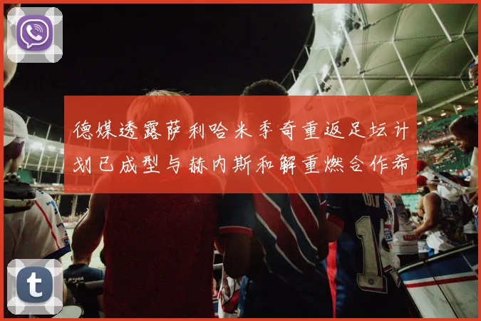德媒透露萨利哈米季奇重返足坛计划已成型与赫内斯和解重燃合作希望