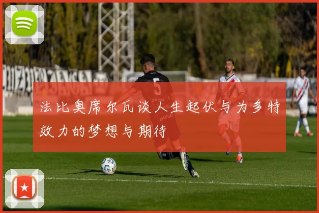 法比奥席尔瓦谈人生起伏与为多特效力的梦想与期待