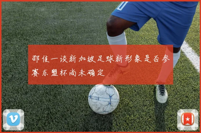 邵佳一谈新加坡足球新形象是否参赛东盟杯尚未确定